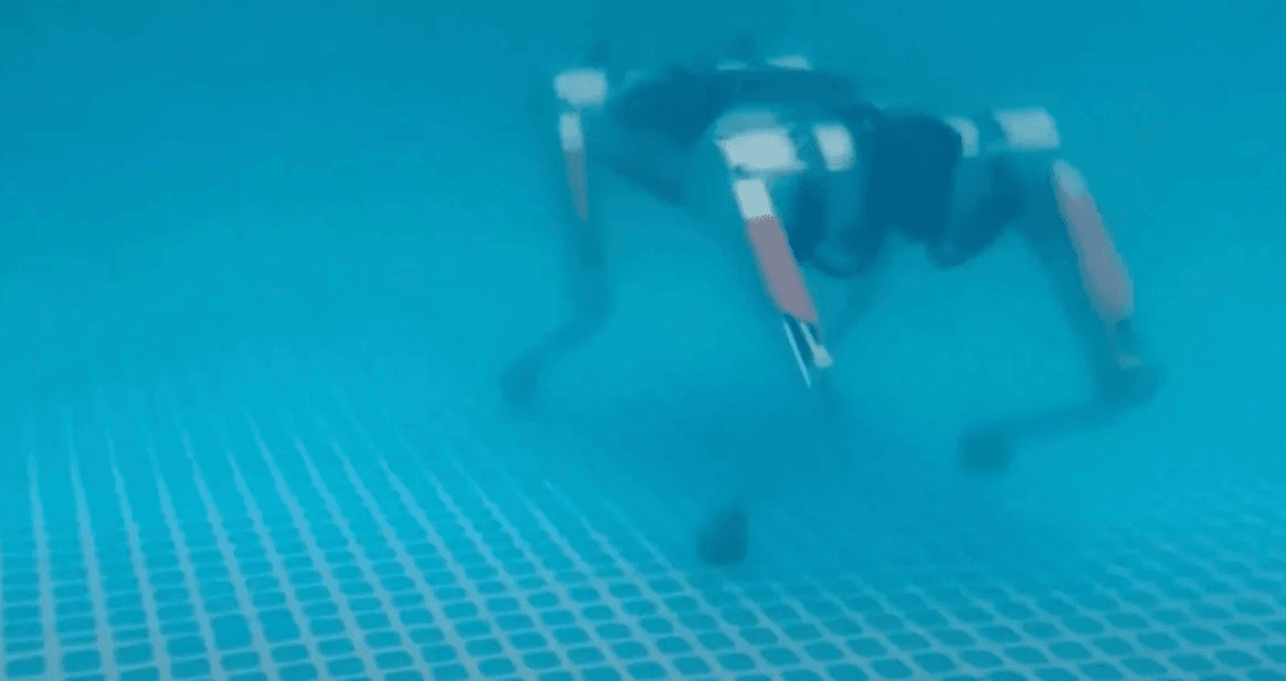 Xem một chú chó robot chạy dưới nước
